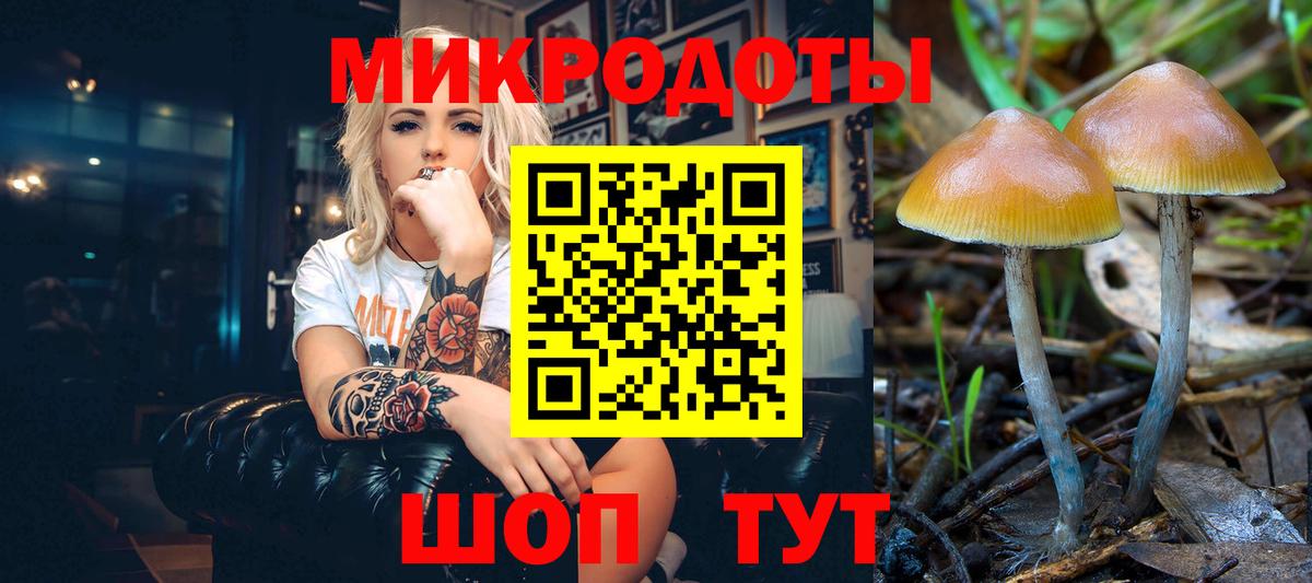 Алушта  Псилоцибиновые грибы Psilocybine cubensis  Вход с VPN 